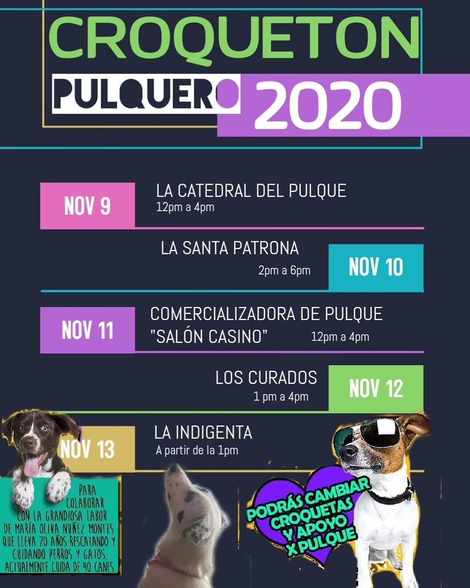 salon_casino's tweet photo. Este es el programa oficial de CROQUETÓN PULQUERO! 👇🏻😱🤗 #croquetónpulquero #AyudanosACompartir #Lomitos #michis #pulque #pulqueros
Enlace para el evento: https://t.co/QYP3Zxq7kH https://t.co/E7bSjFx13g