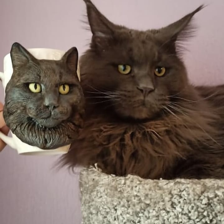 ZifaDecor's tweet photo. Reviews ❤️❤️❤️
Main coon Arni 🐈
You can order on Etsy, link to shop in bio.
#mainecoons #mainecoon #maincoonmix #maincoonlife #maincoonlovers #maincoonkitten #maincooncats #mainecoonlover4ever #maincooncatsofinstagramss #maincoon_feature #maincoon_id #maincoonlove https://t.co/fJhOTat7uD