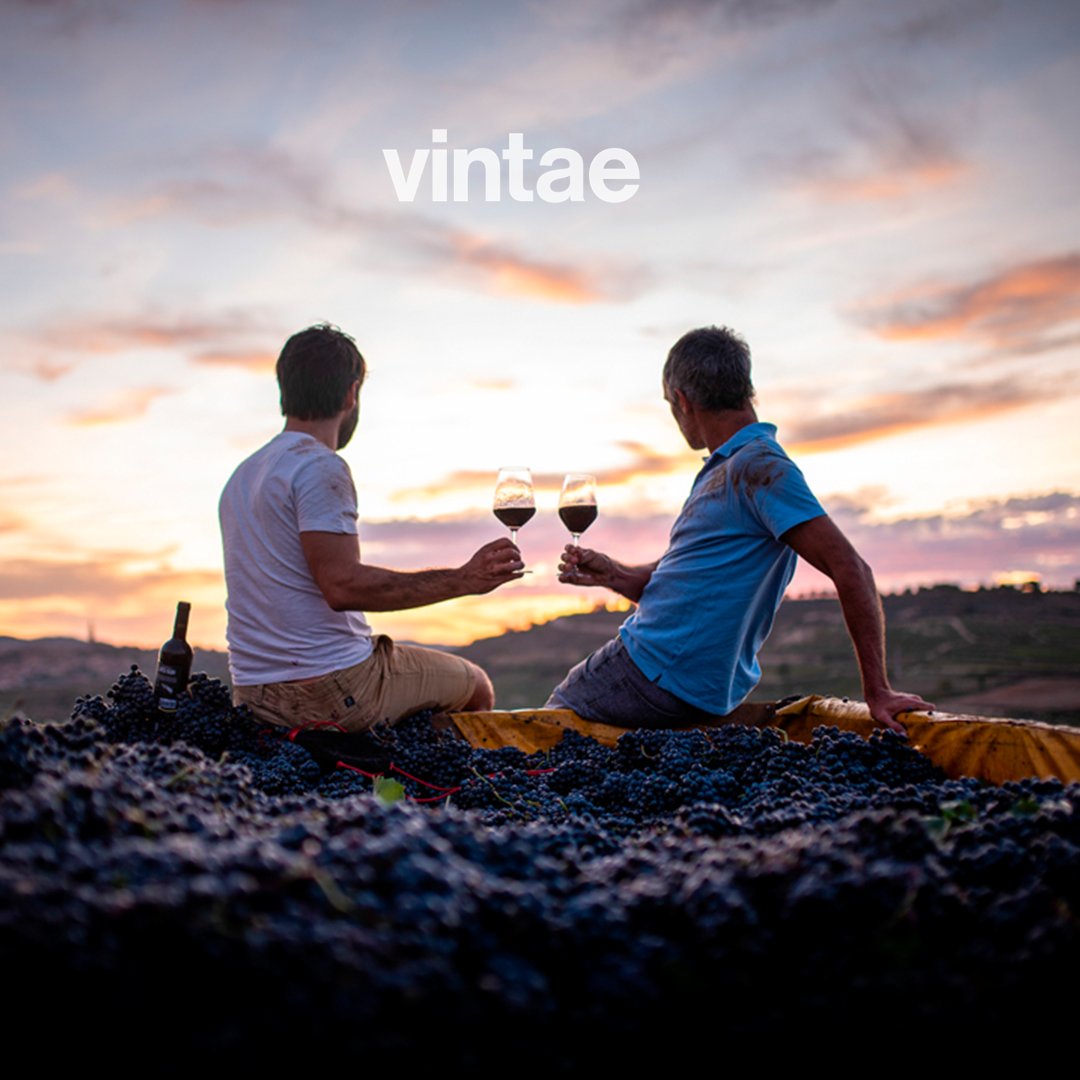 🔴 ⚡️¡LUNES DE NOVEDADES! Queremos lo mejor para los mejores, y por ya puedes disfrutar de los fantásticos vinos de Vintae en nuestra web. 😏🍷
¿Cuáles son tus favoritos?😍👇👇

#FelizLunes #vinosvintae #Vinos #vinoslarioja #bodegas #onlineshopping