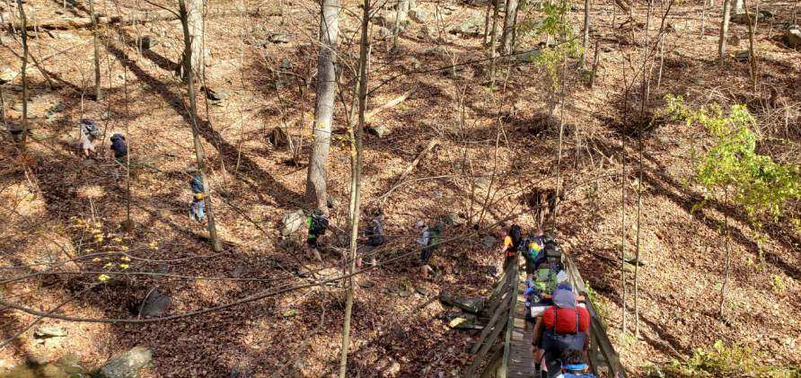 BSATroop454's tweet photo. Troop did a stretch of #appalachaintrail over the weekend. #ScoutsDoMore #hiking #backpacking https://t.co/y6BvoJbgWo