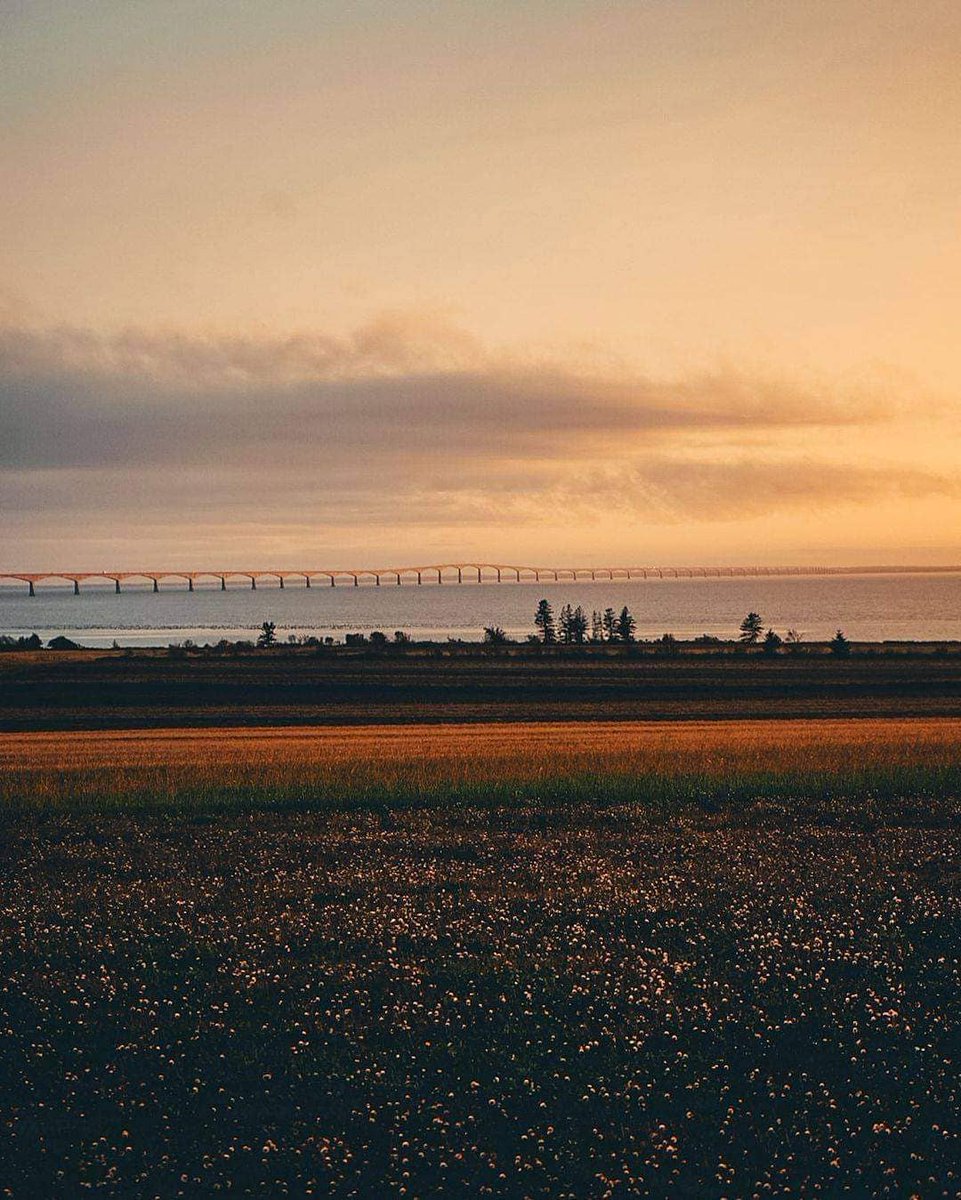 Golden hour bridge views 💛 #WeLovePEI

Photo by <a href="/visualsofdev/">visualsofdev</a>