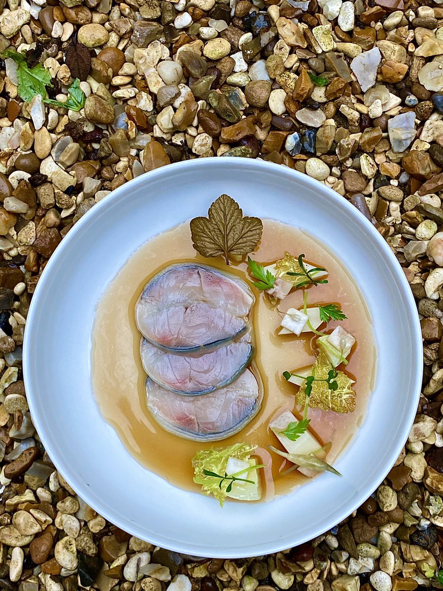 sijewitt's tweet photo. Lock down boredom kicks in again so I made a little fishy dishy.              Shime Saba , turnip , leek , crispy fermented lettuce, kalamansi dashi .         #homecooking #mackerel #dashi #bored #itookapictureoffoodonthefloor #teamjono https://t.co/18NRtCrKUa