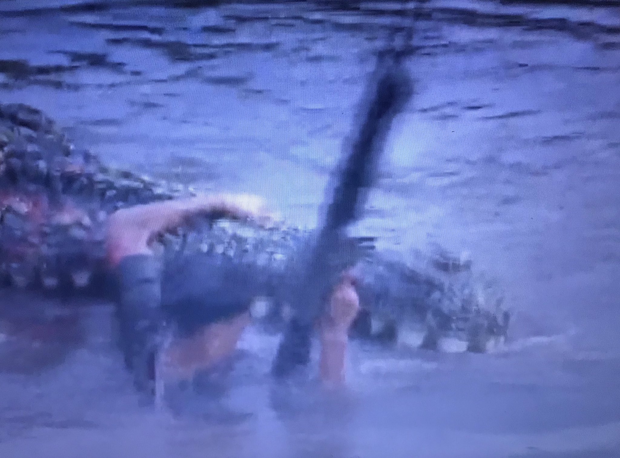 Kawata 米田彰監督 新キラー クロコダイル 赫い牙 観た タイを舞台に 宝石を求めてジャングルに入った日本人達が巨大ワニに喰われる イタリアの キラー クロコダイル 3作目なのか便乗作なのか何とも言えんが 人が襲われる場面や残酷描写の演出が下手