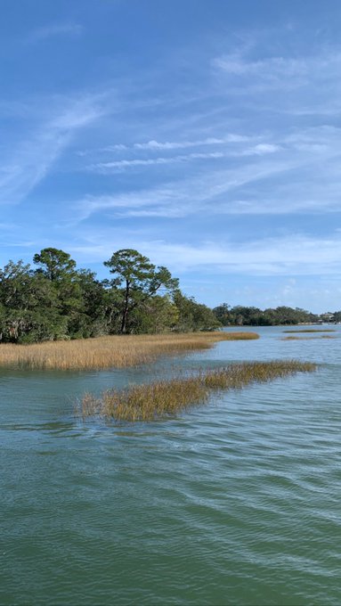 I love North Carolina. This oak is over 400 years old. Truly magical in person. https://t.co/egn67Lq