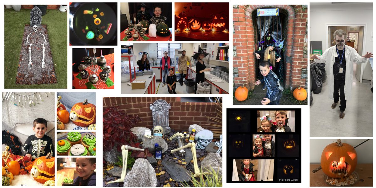 ADEY_Pro's tweet photo. We challenged #TeamADEY to get creative!
Together with their kids and families, all entries had to share the Halloween spirit by dressing up, decorating the house and their pumpkin carvings.
We received some SPOOK-tastic entries but this photo shoot was the pick of the bunch! https://t.co/nkYZAOcNOD
