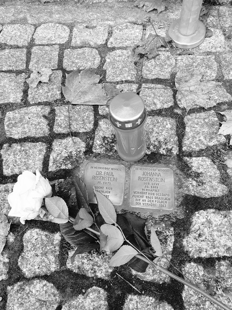 danielgensigk's tweet photo. Never Forget, Never Again!
#stolpersteine #stolpersteinreinigung #jugendverbände #sjrkwh #niemalsvergessen #9November #Reichspogromnacht #Novemberpogrome https://t.co/Nj3xwuCi2y