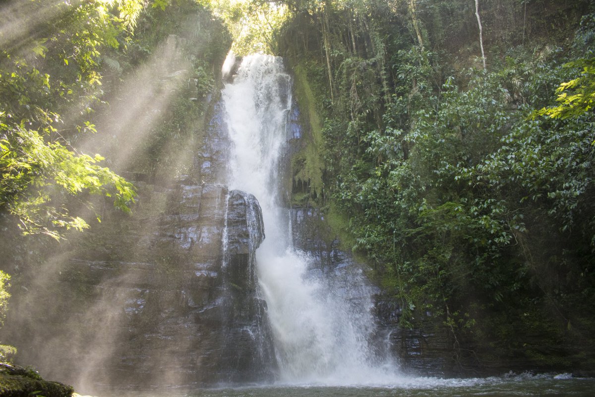 cedimogotes's tweet photo. Cascada del diablo. Mogotes - Santander
#mogotes #Colombia #cascada https://t.co/rzfDCYOtWq