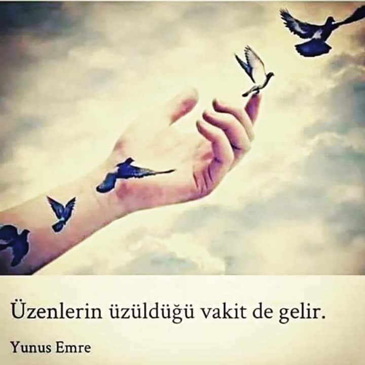 @AKOSMANLINIHAT @Sevda__38 @Rabiagonulyolu @oyle_olsun38 @RBK___RBK @__Asalet_34 @_Medine_Gulu_ @EmineTatl58 @ademvarli52 @hamza_gibi @Leila_yim @cuneytbulas @Alparslan_1966 @yasar__69 @SevgiLK_54 @DenizZBarlas @gullerevurgun4 @Murat50Sekiz @gundogan_reis @mevliyaogluu @HuriyeK02501269 @Gamzeli_54_Ylmz Hayırlı Akşamlar başkanım 🌹