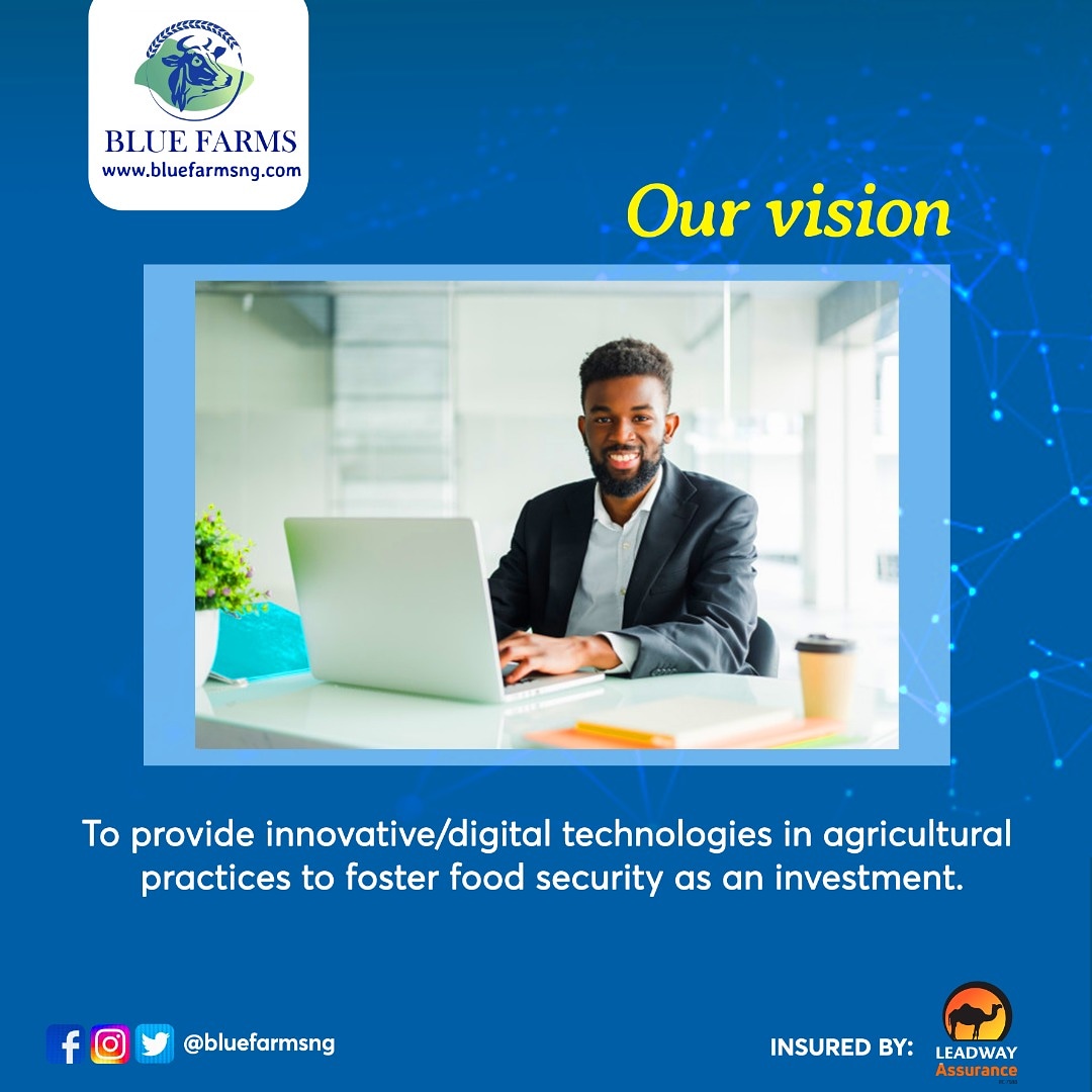 bluefarmsng's tweet photo. We are committed to providing innovative digital technologies in agricultural practices to foster food security as an investment. 

Visit https://t.co/OCIPZ0suEJ to learn more 

#Bluefarms #Bluefarmsng #Agrictech #technology #invest #Investment #foodsecurity #farming https://t.co/qD1jfHgyVn