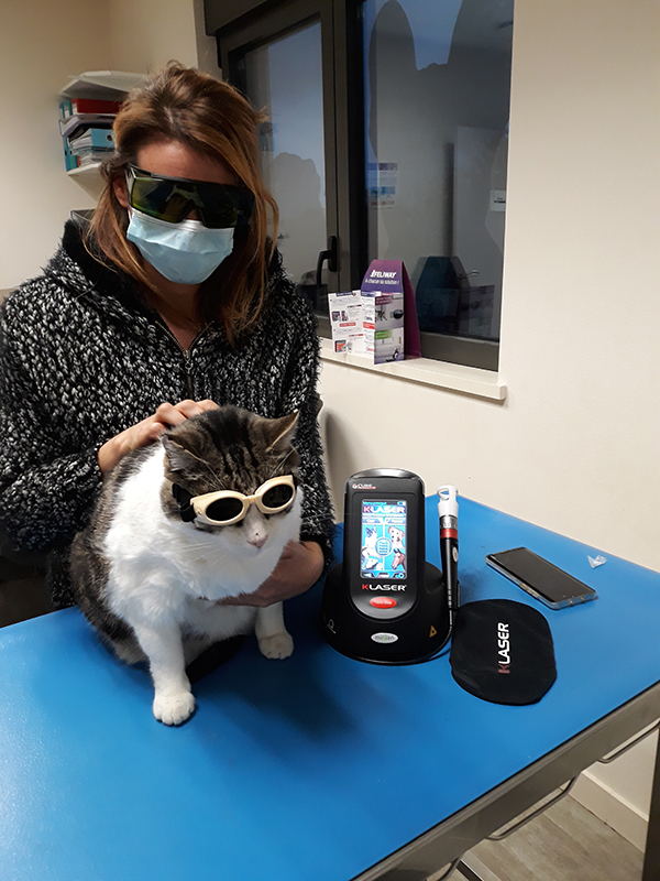 MIKANVET's tweet photo. Installation et démarrage des séances K-laser au Cabinet Vétérinaire du Dr Karen Charlet (01) !
Pour voir le produit : https://t.co/6nBoprMiFP
#mikan #vétérinaire #bienêtreanimal #physiothérapie #klaser #douleur https://t.co/Frh3ItB9O1