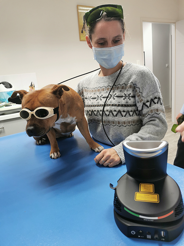 MIKANVET's tweet photo. Installation et démarrage des séances K-laser au Cabinet Vétérinaire du Dr Karen Charlet (01) !
Pour voir le produit : https://t.co/6nBoprMiFP
#mikan #vétérinaire #bienêtreanimal #physiothérapie #klaser #douleur https://t.co/Frh3ItB9O1