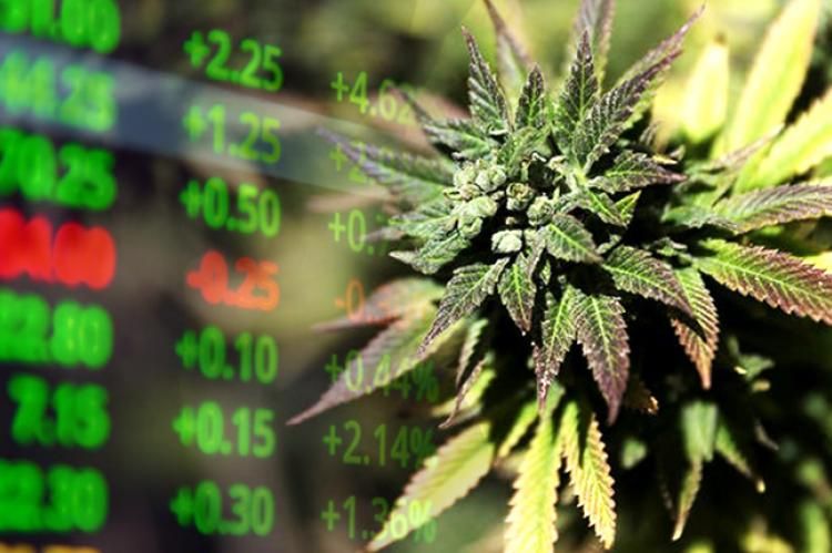 4 Marijuana Stocks to Buy Trading Under $10 buff.ly/3k9vj8x