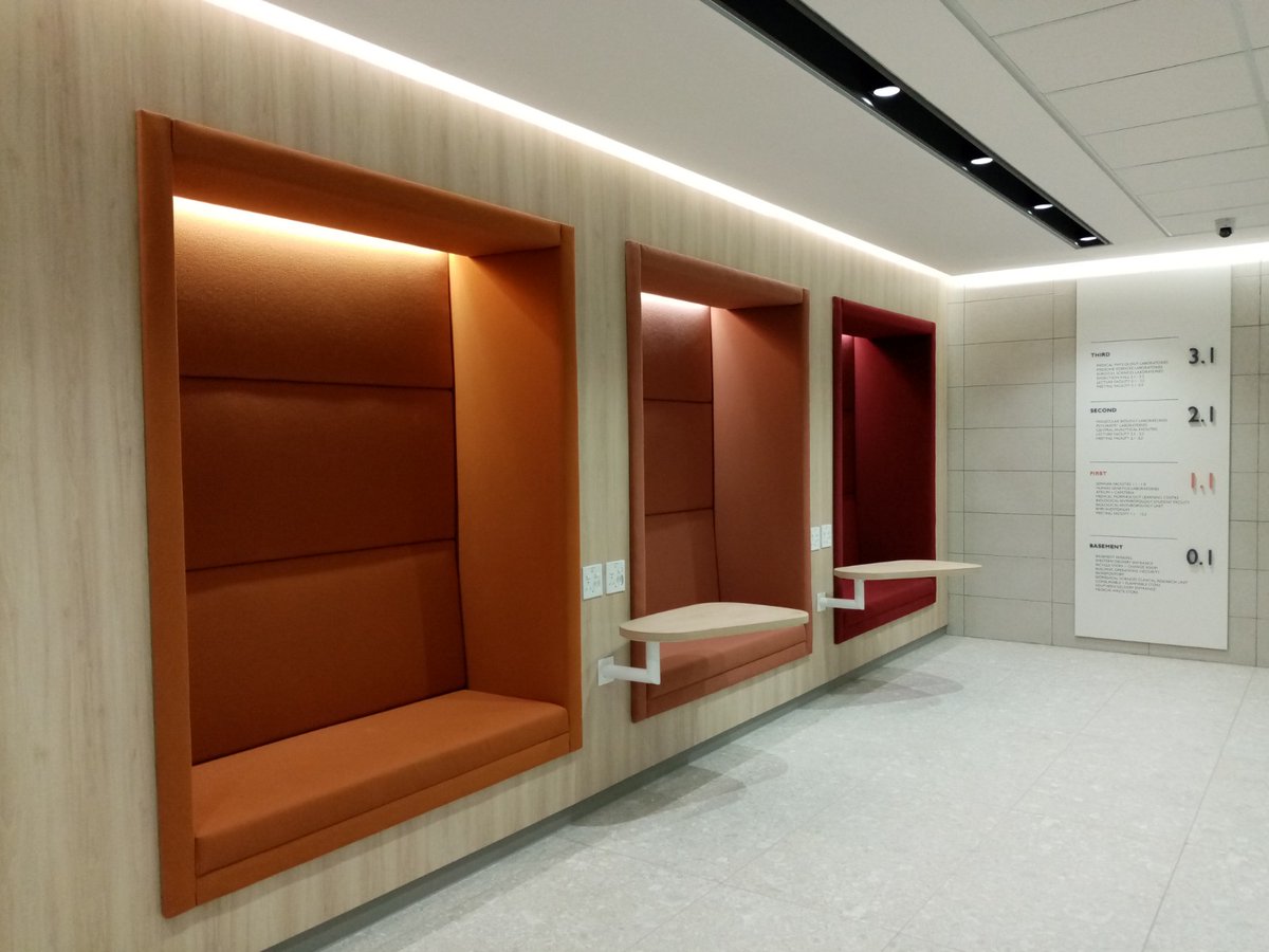 shahida_moosa's tweet photo. Today we moved into the brand new Biomedical Research Institute @SUhealthsci -absolutely gorgeous &amp; inviting space! Our 1st floor colour scheme is my favourite! Wish everyone lots of happiness and success while doing #science in our new home @SuMBHG @SUTBHostGen @SUpsychgenetics https://t.co/DAn6MinvFM