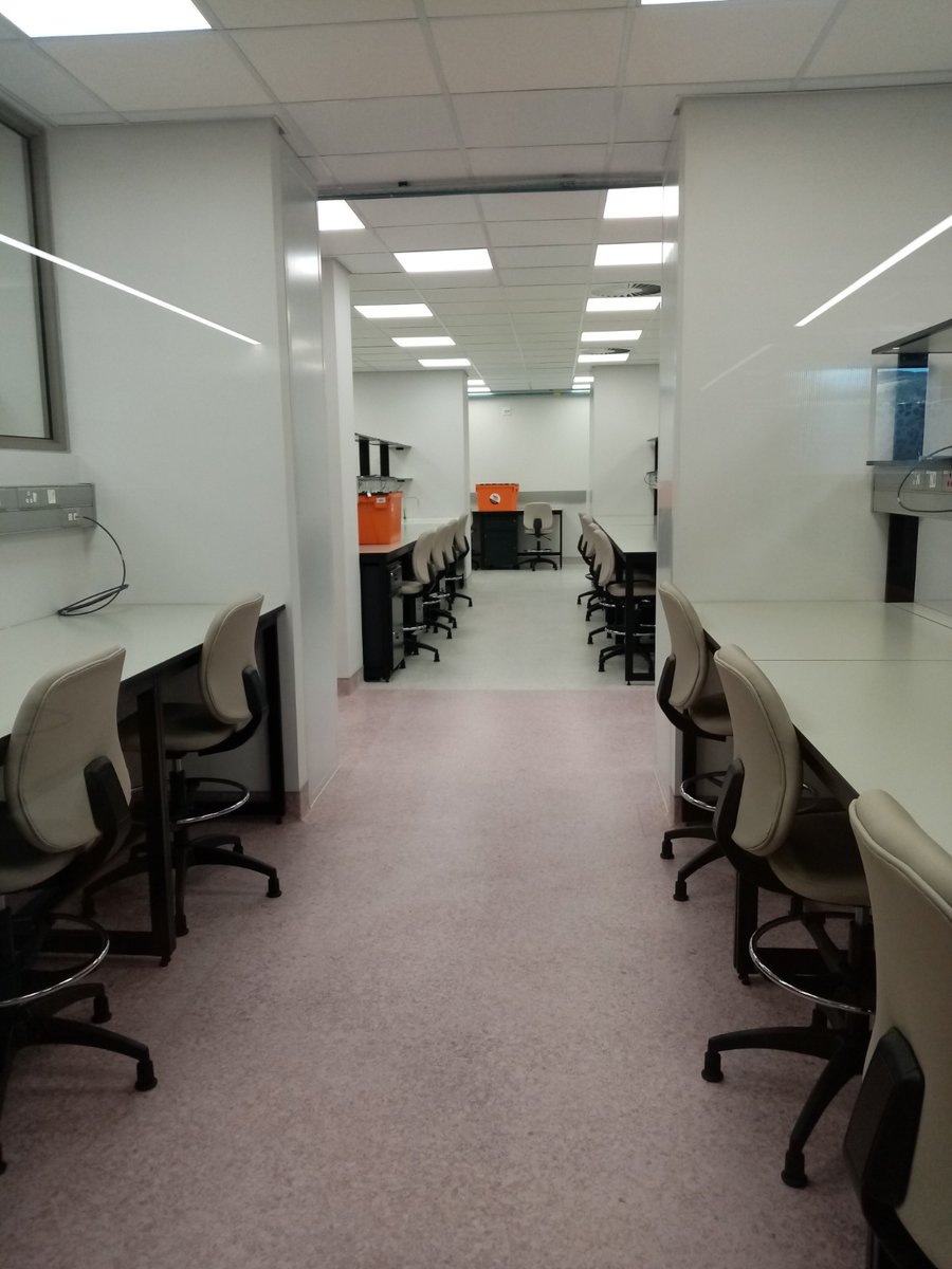 shahida_moosa's tweet photo. Today we moved into the brand new Biomedical Research Institute @SUhealthsci -absolutely gorgeous &amp; inviting space! Our 1st floor colour scheme is my favourite! Wish everyone lots of happiness and success while doing #science in our new home @SuMBHG @SUTBHostGen @SUpsychgenetics https://t.co/DAn6MinvFM