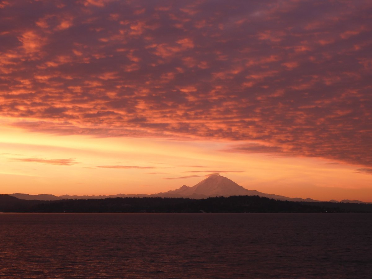 NWSSeattle's tweet photo. Stunning sunrise this morning over Lake Washington and Mt. Rainier taken by one of our meteorologists. #WAwx https://t.co/3QCkFgA00k