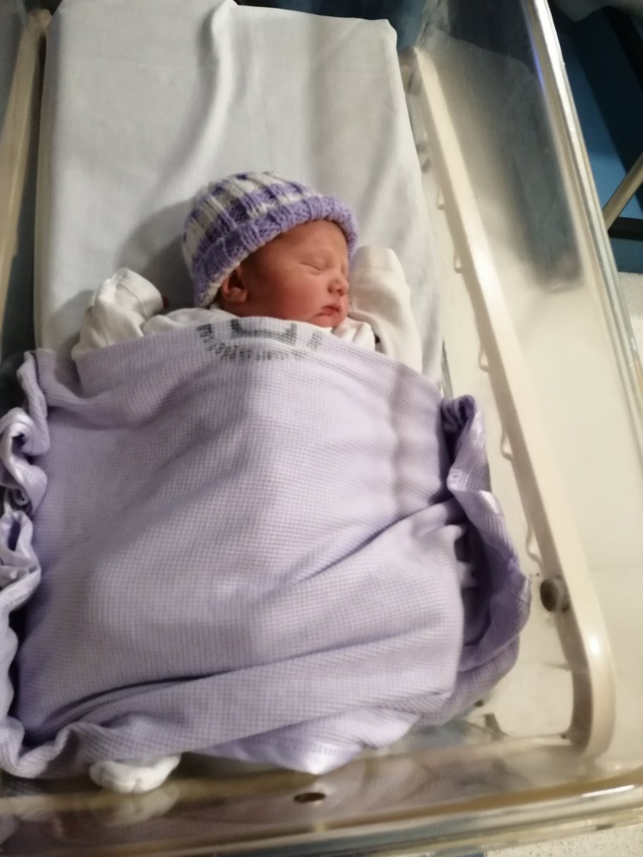 Sarah Farrell tweet media