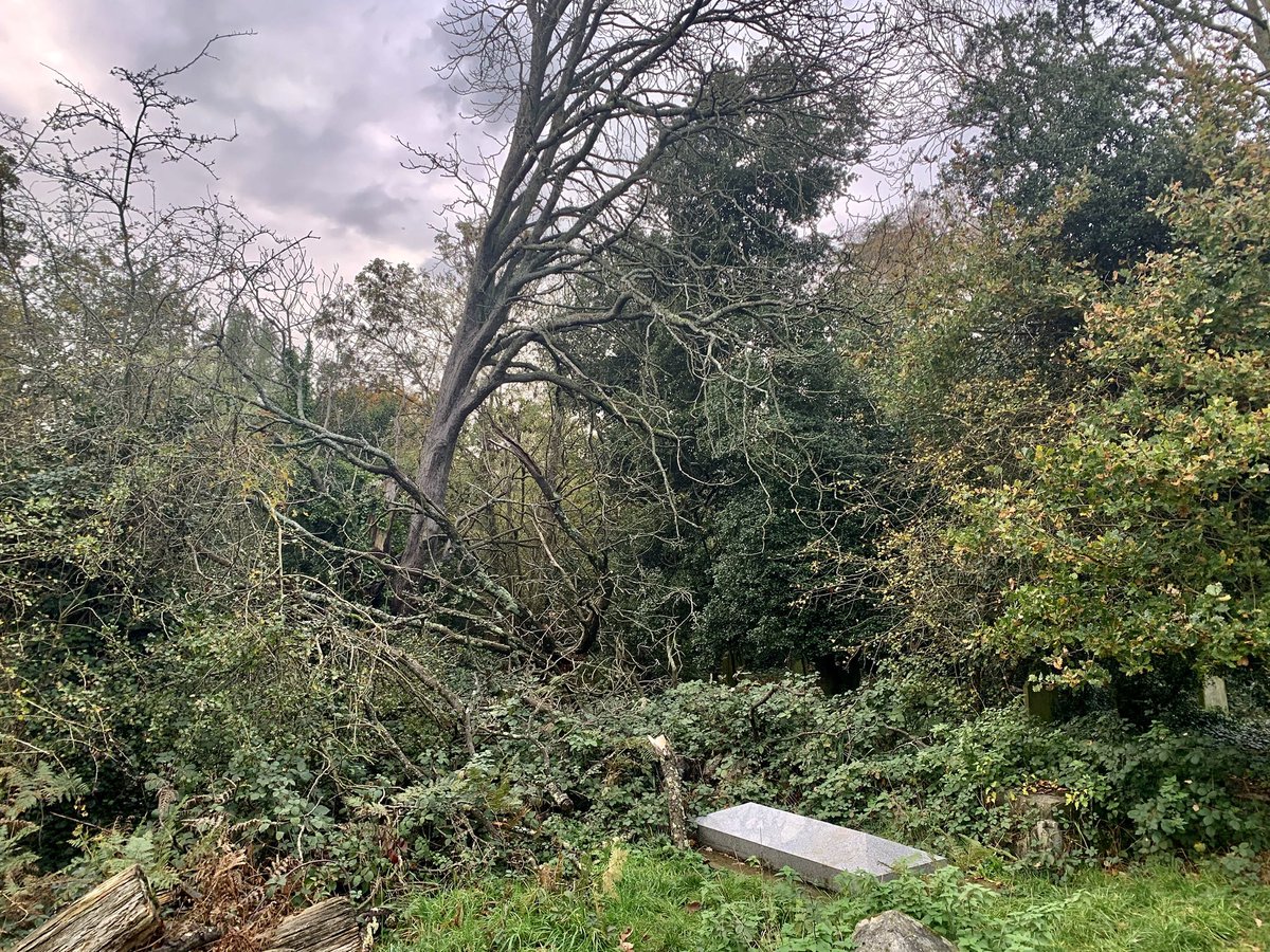 Here lies Ebenezer Cobb Morley, one of the founding fathers of football. He helped set the common laws of the game and proposed a governing body. He lies on the edge of an abandoned graveyard on Barnes Common in south west London. I went in search of him over the weekend. / 1