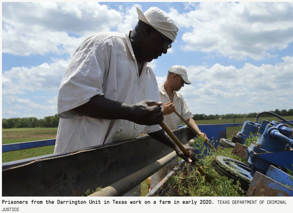 Just jumping in to say that we still use prisoners as slave labor here in Texas. They work in fields, are not paid, and face punishment if they don't go to work.This photo is from *earlier this year* and this man is not getting paid.  https://twitter.com/Mike_Hixenbaugh/status/1325826586759802881