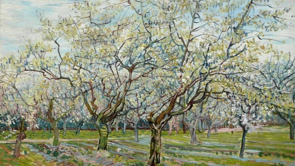 Vincent van Gogh The White Orchard #landscape #painting #art