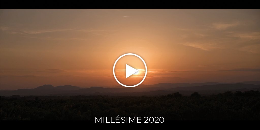 Roman Guibert Romanguibert Twitter