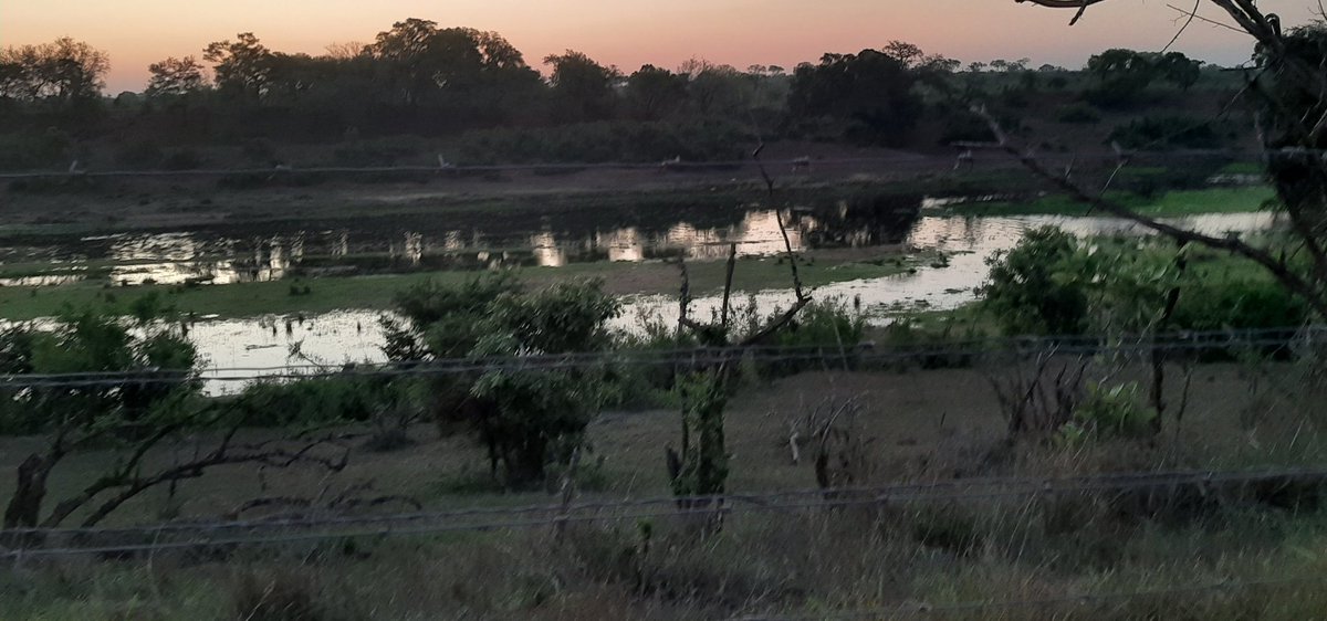 Give me an African sunset
#Africa #pictureperfect #doinglife