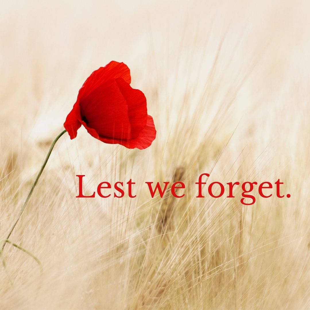 gbfibreco's tweet photo. This week $1 from every red skein will be donated to the @RoyalCdnLegion https://t.co/74KQ5w1bNb