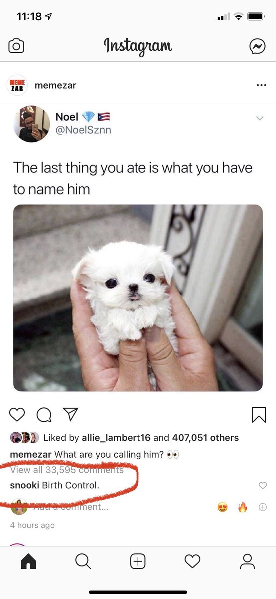 giannampaul's tweet photo. Awe such a cute name 🥺 https://t.co/UtkByTE64p