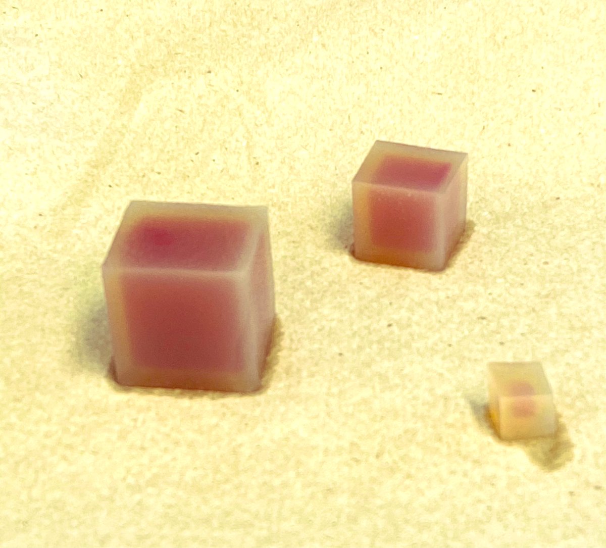 DebLangoneEdu's tweet photo. Ms. Mulroy’s scientists in AP Biology predict the effect cell size will have on the amount and rate of diffusion. Phenolphthalein is used as an indicator and turns white as the vinegar diffuses into the agar cube. #WeGotThis #ScienceReimagined https://t.co/bdlULdsIg3