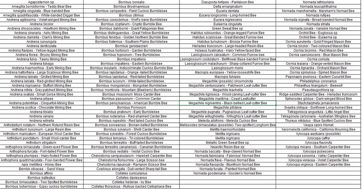 Britnatureguide's tweet photo. Checking through the posts for the #WorldBeesWeekend Hashtag Challenge I spotted a few species I hadn't inclued in the final list, so here's the final final list. I hope I haven't missed too many others. Thanks again to everyone who took part. For fun, for knowledge & for nature. https://t.co/aoaHGfpI6W