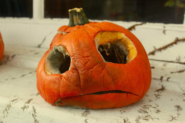 MeanwhileinCana's tweet photo. The longer my neighbours wait to concede that it's time to toss out their old, rotten, orange thing, the sadder and more pathetic it gets. https://t.co/oLxfajYF92