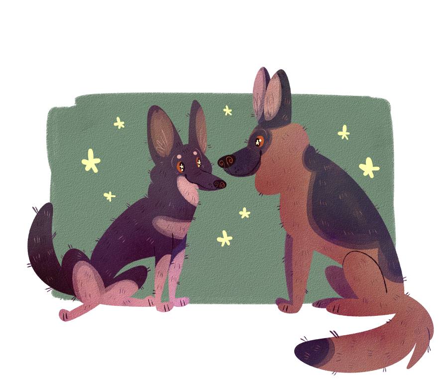 sunnycritters's tweet image. When I found out the new first dog, Major, was rescued from @delawarehumane, I was so happy as I hope to begin volunteering there when I head to Delaware in winter. Big Congrats to @First_Dogs_USA to their own big move coming up!!  #DOTUS #FirstDogs