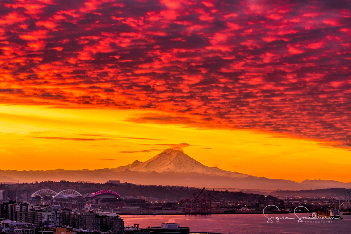 sigmas's tweet photo. OMG, that #Seattle #sunrise this morning!!! Sky was on fire!!! https://t.co/Az3UUkwUwp