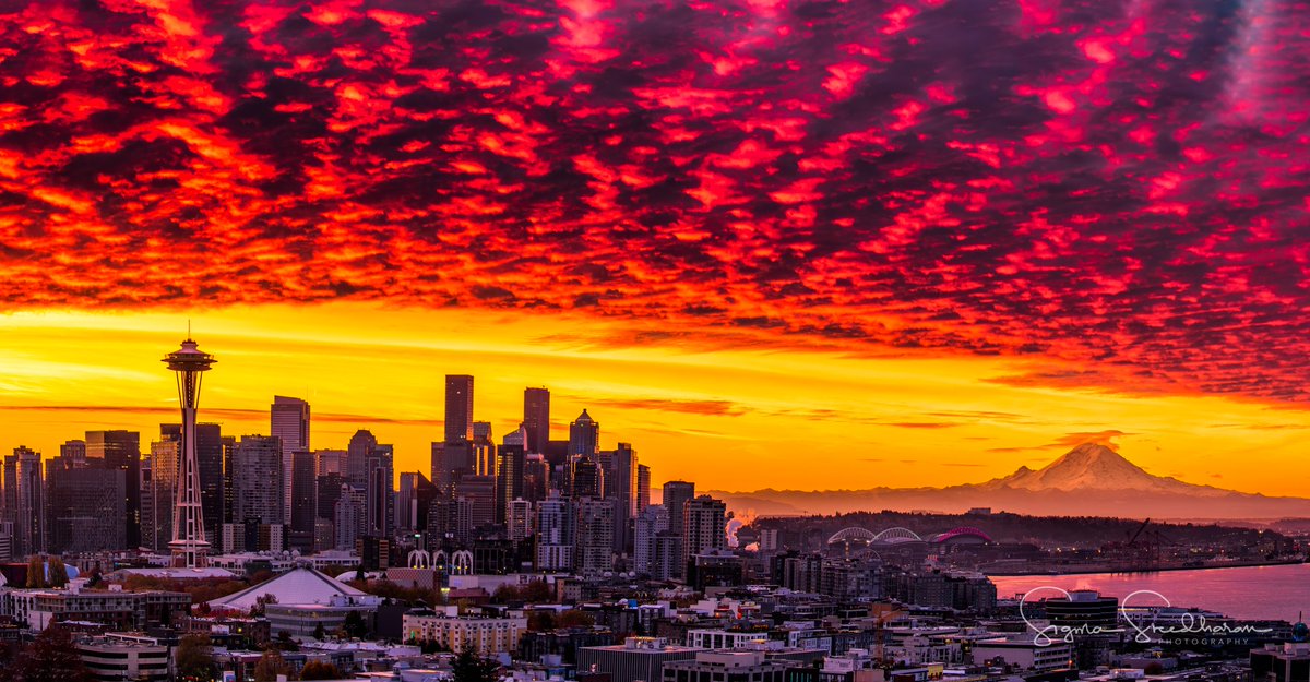 OMG, that #Seattle #sunrise this morning!!! Sky was on fire!!!