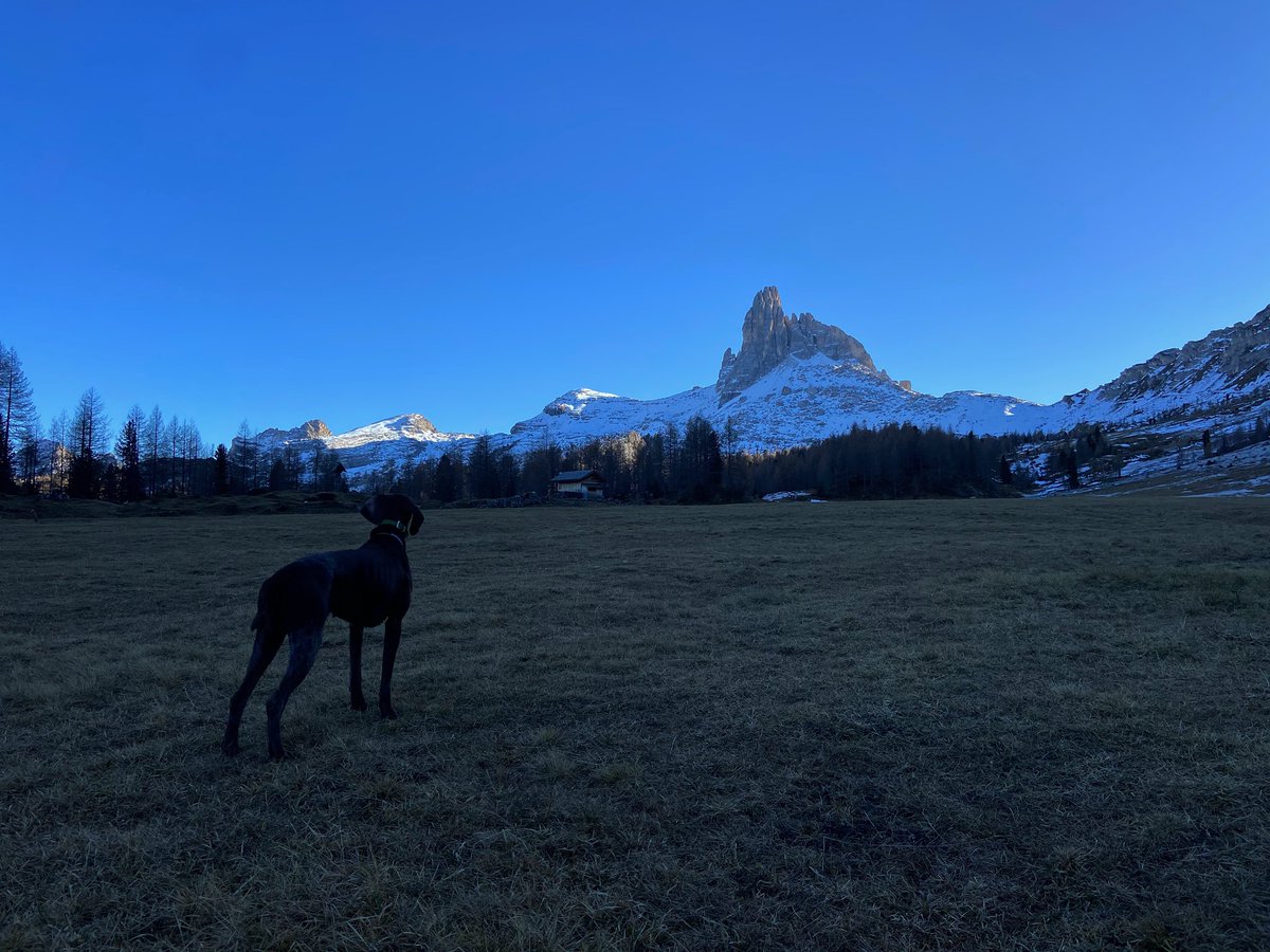 morellato13's tweet photo. #crodaDaLago #forcella ambrizzola #forcella Giau #Mondevàl #Dolomiti meravigliose https://t.co/iwLAv18Ibr