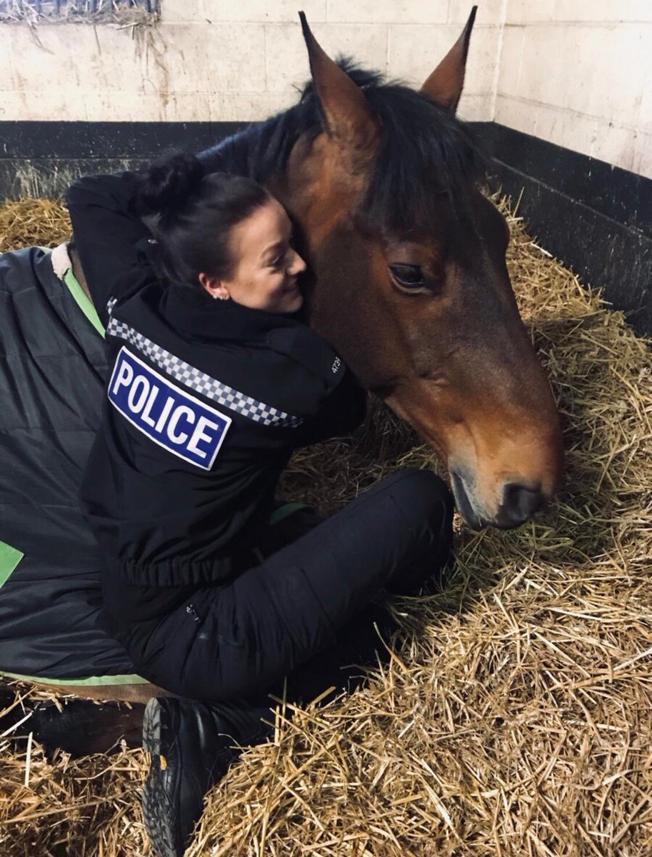 ASPoliceHorses tweet media