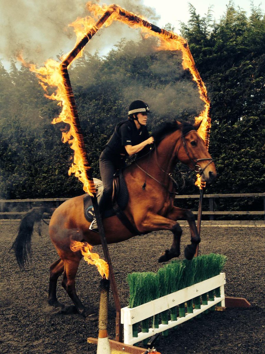ASPoliceHorses tweet media