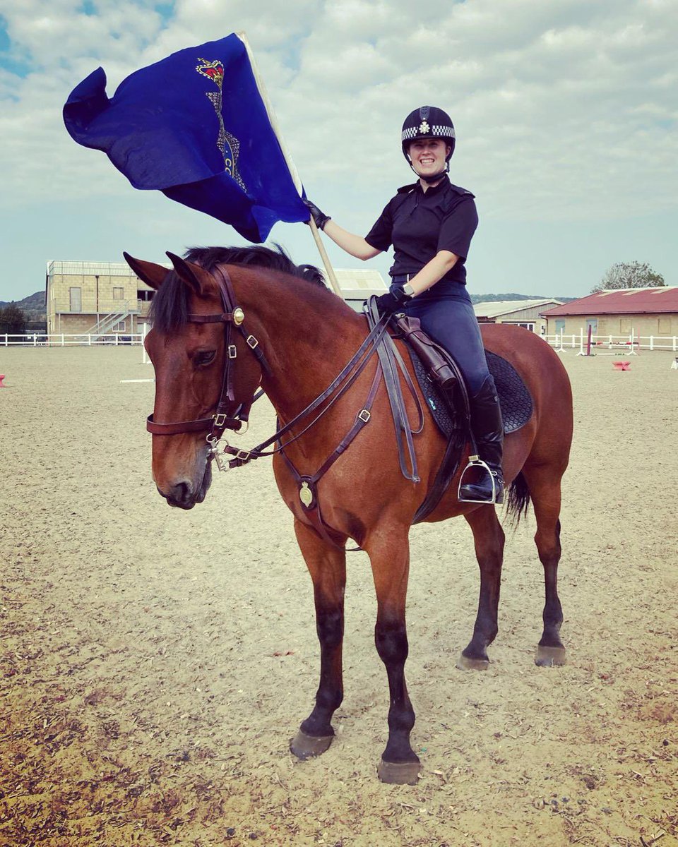ASPoliceHorses tweet media