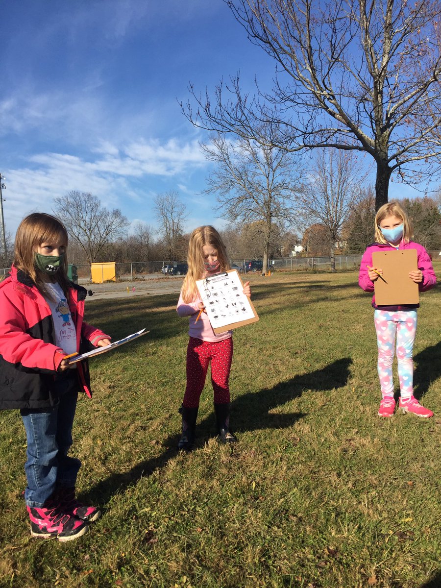 RimaHamilton's tweet photo. Habitat assessment in the @CollBayLDSB schoolyard with @natezahn (2/2) https://t.co/DE66y4JUgU