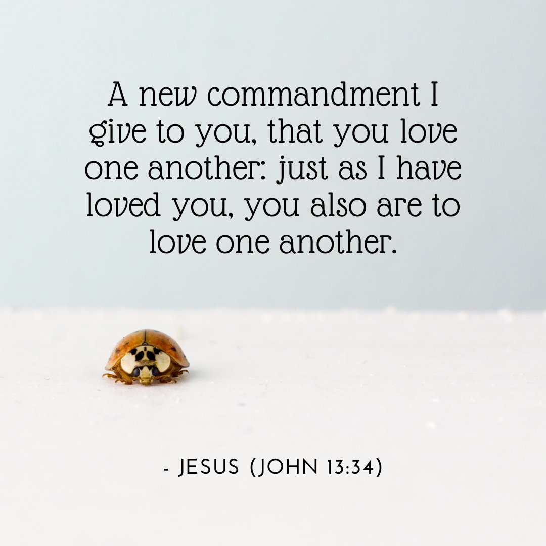SermonCentral's tweet photo. A good reminder... Love one another.
#jesus #gospel #newcommandment https://t.co/jzVmsnhJZw