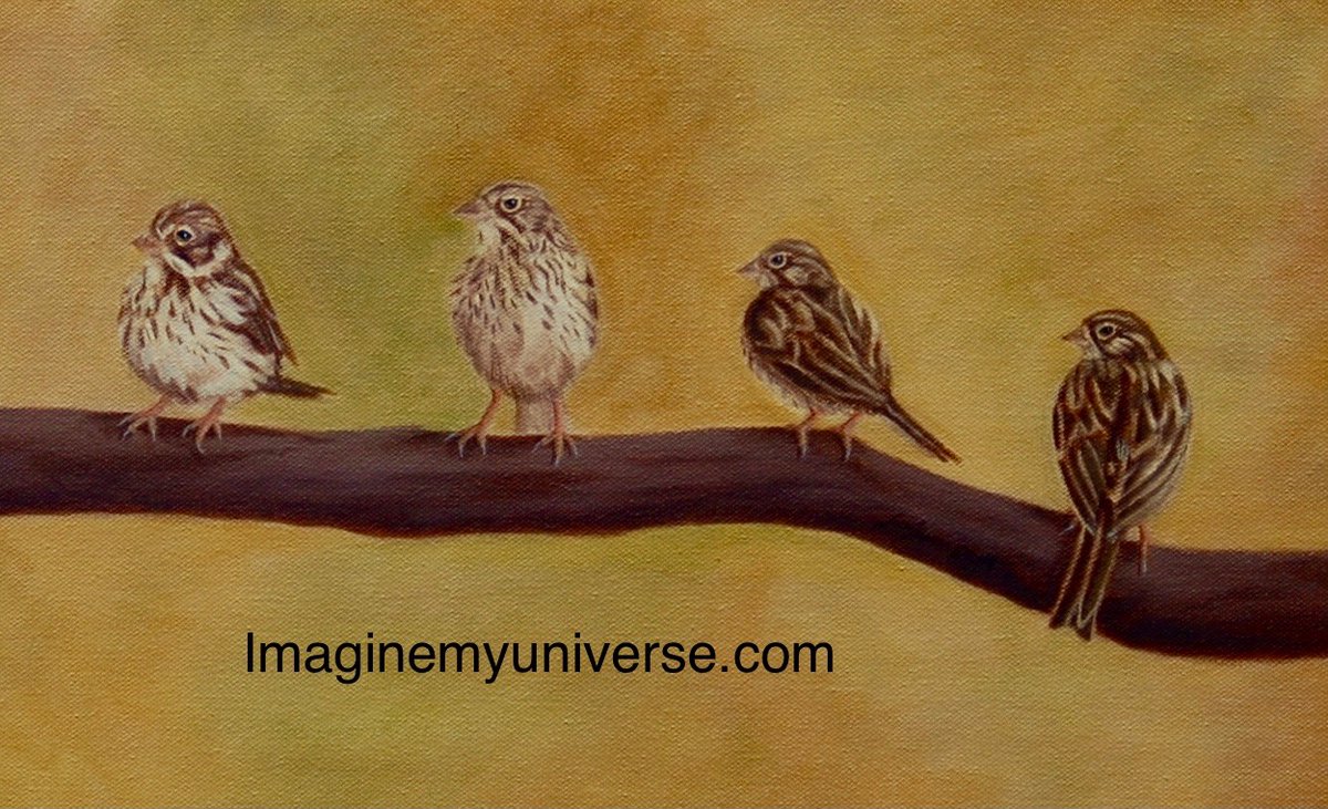 imaginemyuniver's tweet photo. A close up on my painting "Bird Bunch". This painting was a commission to do a group of sparrows. They turned out beautifully! Do you like sparrows? Which one is your favorite? #birdlover #birds #bird #birdart #birdaddict #birdlovers #animalart #animalartist #animallover https://t.co/30ruKXkNsz