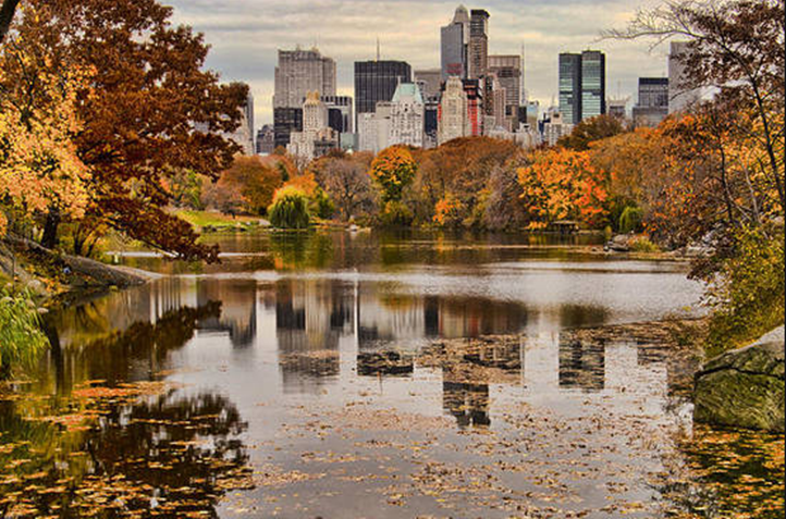 NREInstitute's tweet photo. Hey #Baruch students. We want to see what socially distant activities youβre up to this fall season. Is it reading your favorite book, walking through @CentralParkNYC with friends, or taking pics of the beautiful fall foliage? Tag us: #Baruchrealestate #virtualcampuslife https://t.co/mSvGtNg21K