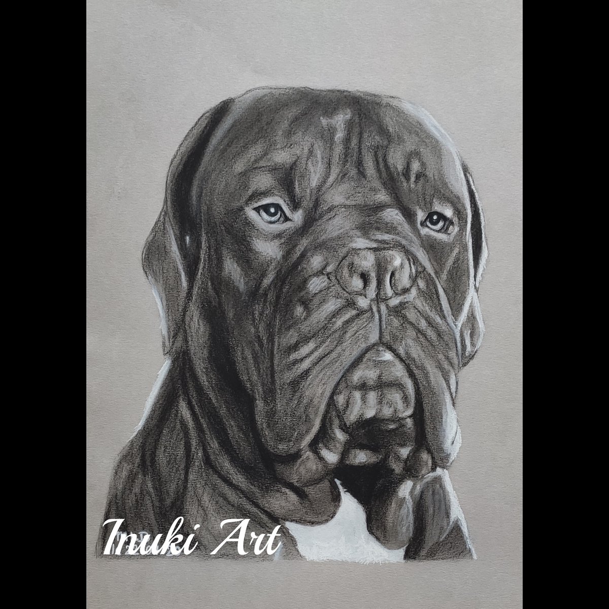 InukiArt's tweet photo. Portrait du superbe Palto, Dogue de Bordeaux, réalisé en Juillet 2020.
#inukiart #dog #dessin #portraitdrawing #portrait #fanart #artwork #pencils #fabercastell #instadraw #sketch #pencildrawing #draw #pencil #art #artstagram #instaart #artistoninstagram #artist #doguedebordeaux https://t.co/BBQxhin6hS