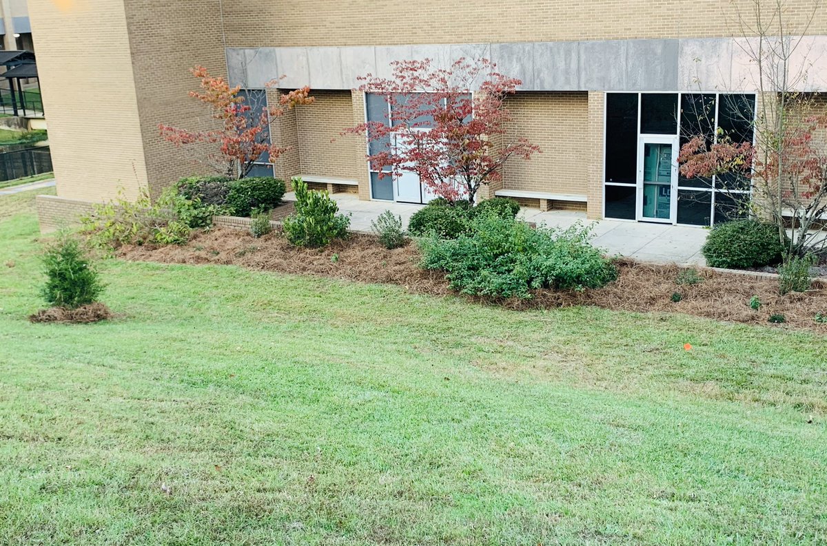 ActionForUnity's tweet photo. Leadership in Action: FIVE students @LexRich5Schools are working together to serve their community by planting a habitat garden @IrmoMiddle. This is one of several ongoing leadership service projects. #Pridein5 #FIVEinLexRich5 @scwildlifefed https://t.co/uj9Rtpd3t0