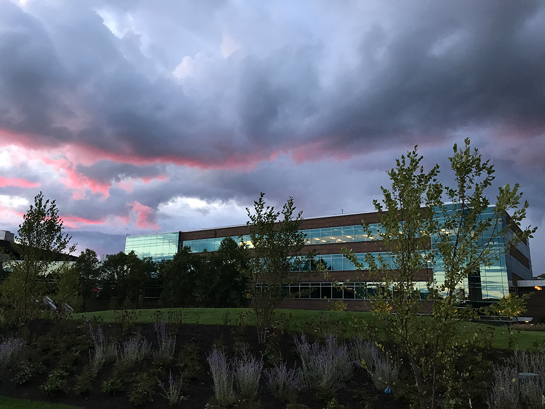 That moment when the sky looked like this, and everything seemed right in the world.A thread. (8 of 8)