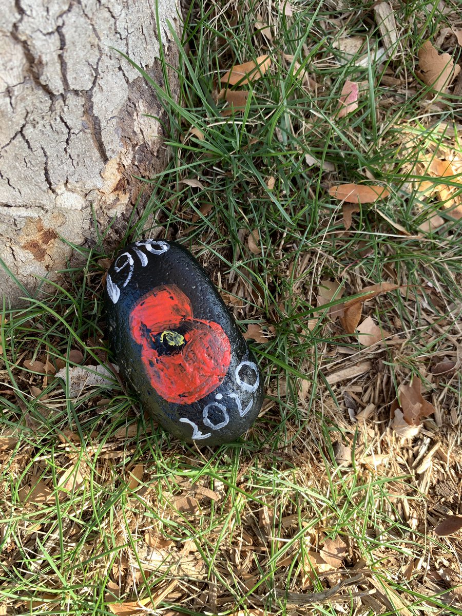ChampagneMrs's tweet photo. Junior students @HetheringtonPS painted rocks in honour of Remembrance Day.  Today we placed them along the Ganatchio Trail for others to enjoy.  #weremember https://t.co/ZSPZcUg3Wm