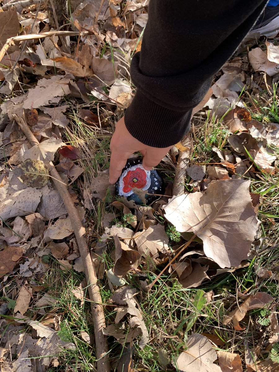 ChampagneMrs's tweet photo. Junior students @HetheringtonPS painted rocks in honour of Remembrance Day.  Today we placed them along the Ganatchio Trail for others to enjoy.  #weremember https://t.co/ZSPZcUg3Wm