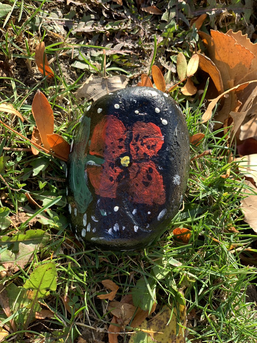 Junior students <a href="/HetheringtonPS/">Hetherington School</a> painted rocks in honour of Remembrance Day.  Today we placed them along the Ganatchio Trail for others to enjoy.  #weremember