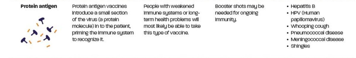 Subunit vaccines take a part of the virus – in the case of Covid-19, the protein “spike” outside the main body of the virus – and use that as an antigen. They are much faster to produce, but the volume per dose is high, so you need to make a lot.