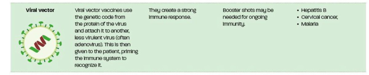 Viral vector vaccines also use a subunit as an antigen – again the protein spike for Covid-19. But they get the patient’s own body to manufacture it, by having a genetically modified virus instruct the body’s cells to produce the subunit. It’s much faster.