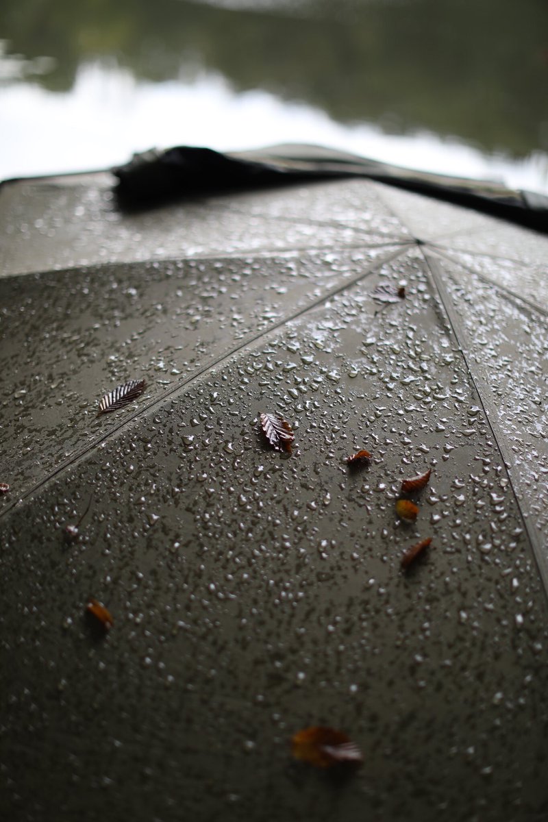 LKrasa's tweet photo. “autumn vibes” #onthebank #autumnvibes #lukaskrasa #lkbaits #carpfishing #fishing #angling #karpfenangeln #angeln #rybolov https://t.co/XyWoGe4jW0